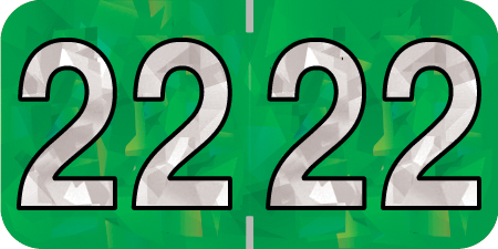 Holographic Yearband Label (Rolls) 500 - 2022- Green - HGYM Series - Polylaminated -3/4" H x 1-1/2" W
