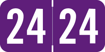 ACME 2024 Year Label - PURPLE  - 3/4"H x 1-1/2" W -  ACYM Series - 500/Roll