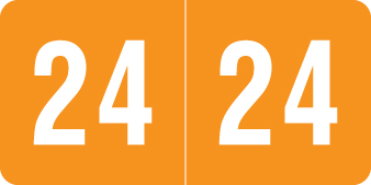 Smead 2024 Year Label - SMYM Series -  ORANGE - 1/2" H x 1" W -  500/Roll