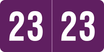 2023 Smead Yearband Label -  ETS Series - PURPLE  -  1/2" H x 1" W -   250 Labels per Pack