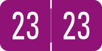 2023 VRE/GBS Year Label - PURPLE  - 3/4" H x 1-1/2" W -  500/Roll