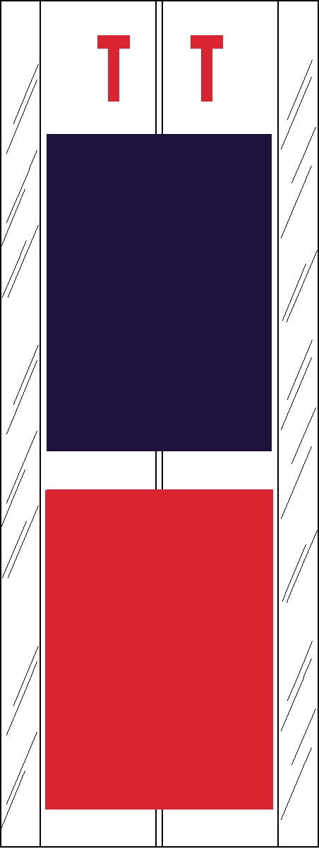 Tabbies 12721 - ACME VISIBLE COMPATIBLE ALPHA 12700 LABEL SERIES, 4" 2-COLOR ALPHA TABS 'T', PURPLE/RED, 4"H x 1-1/2"W, 102/PACK