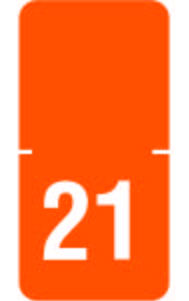 Tabbies 72521 - ORIGINAL TABBIES TOP TAB YEARCODE 70500 LABEL SERIES, 1/2" HORIZONTAL YEARCODE LABEL '21', ORANGE, 1"H x 1/2"W, 250/PACK