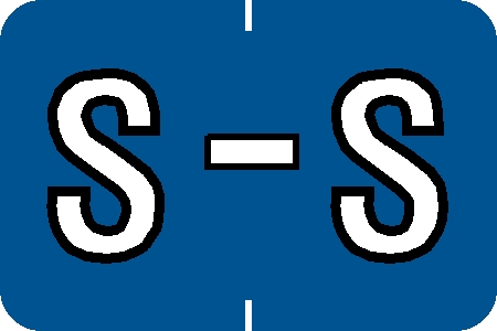 Tabbies 71639 - BARKLEY ABKM COMPATIBLE ALPHA 71620 LABEL SERIES, 1" ALPH LABEL 'S', BLUE, 1"H x 1-1/2"W, 252/PACK