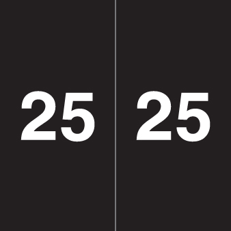 Ames Colorfile 2025 Yearband Label (Rolls of 500) - Black - AEYM Series - Laminated