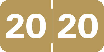 Medical Arts Press 2020 Year Label -  TAN colored YEAR LABEL - MJYM Series - 500/Roll