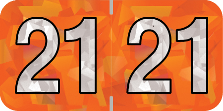 Holographic Yearband Label (Rolls) 500 - 2021 - Orange - HOYM Series - Polylaminated -3/4" H x 1-1/2" W