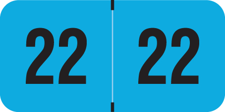 PMA Fluorescent 2022 Year Labels -  BLUE - 500/Roll - 3/4" H x 1-1/2" W - FBYM-22-T4 -