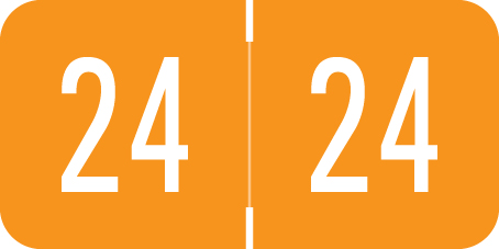 VRE / GBS 2024 Yearband Label (Rolls) - Orange - 3/4" H x 1 1/2" - 500/Roll