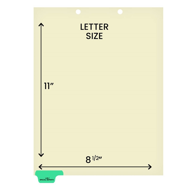 "Lab/Special Reports" -  Index Chart Divider- Bottom Tab Position 1 - Light Green Colored Tab - 100/Package