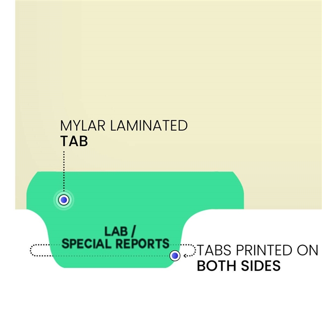 "Lab/Special Reports" -  Index Chart Divider- Bottom Tab Position 1 - Light Green Colored Tab - 100/Package