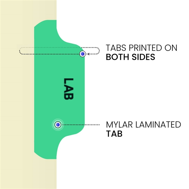 Ivory letter size side tab index divider with position 2 tab printed LAB and mylared in light green. 125# manila stock, 100/Box