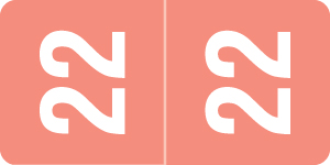 Smead Yearband Label for Top Tab Applications - 2022 - Pink - 1" H x 1/2" W - 500/Roll