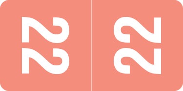 Smead Yearband Label for Top Tab Applications - 2022 - Pink - 1" H x 1/2" W - 250/PK