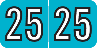 2025 Year Label - Barkley - 3/4" x 1-1/2" - TEAL/Black - Laminated - 500/Roll