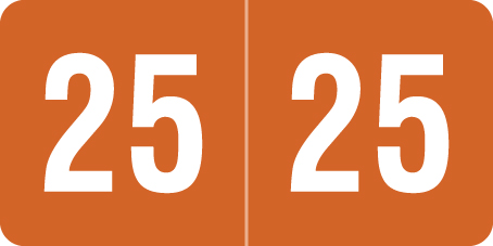 2025 Year Label - Smead - 1/2" x 1" - Brown - Laminated - 250/Pack