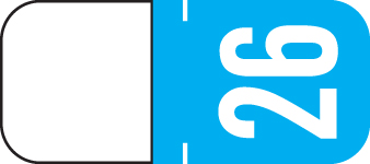 2026 Year Label - TAB  - For Top Tab Application - 1/2" x 1-1/8" - Light Blue - Vinyl - 500/Roll