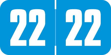 Safeguard 2022 Yearband Label - SGYM Series (Rolls) - Lt. Blue - 3/4" H x 1-1/2" W - 500/Roll
