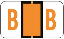 Tabbies 71122 - TAB PRODUCTS & JETER 5100 COMPATIBLE ALPHA LABEL SERIES, 1" ALPHA LABEL B Orange, 15/16"H X 1-1/2"W, 252/PACK