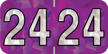 Holographic Yearband Label (Rolls) 500 - 2024 - Purple - HPYM Series - Polylaminated