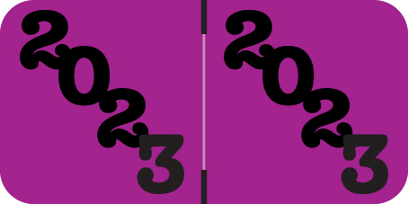 2023 Jeter Purple Year Label for Ringbook - Labels on Sheets - 3/4" x 1-1/2" - 270/Pack