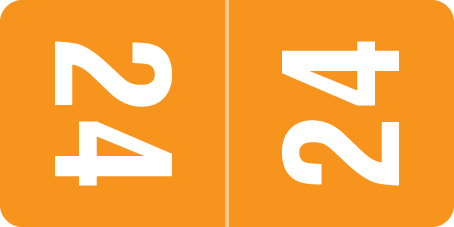 2024 Smead Yearband Label For Top Tab Folder Applications - 2024 - Orange - 1" H X 1/2" W - 250/PK