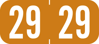 TAB 2029 Yearband Label - Brown - 1/2" H x 1 1/8" W - A1287 Series - 500/Roll