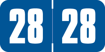 Safeguard Yearband Labels- 2028 - Dark Blue - SG3Y Series for Ringbook - Laminated -  3/4" H x 1-1/2" W - 270/Pack
