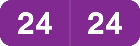 2024 Ames ColorFile Year Label -  PURPLE - 1/2" H x 1-1/2" W - 500/Roll