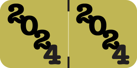 2024 Jeter Year Label for Ringbook - GOLD - 3/4" x 1-1/2" - 270/Pack - Labels on Sheets