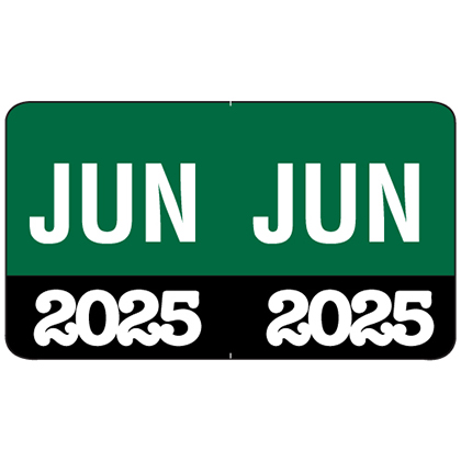 Month/Year Labels 2025 - June - 225 Labels Per Pack