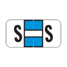 JETER Alphabetic Labels - 2900 Series Sheets for Binder - S- Lt. Blue-225 Per Pack