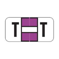 JETER Alphabetic Labels - 2900 Series Sheets for Binder - T- Purple-225 Per Pack
