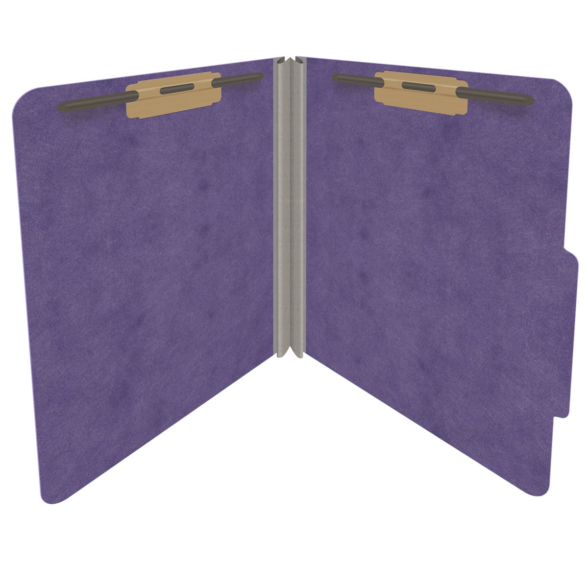 Purple letter size top tab classification folder with 2" gray tyvek expansion and 2" bonded fasteners on inside front and inside back. 25 pt type 3 pressboard stock. Packaged 25/125.
