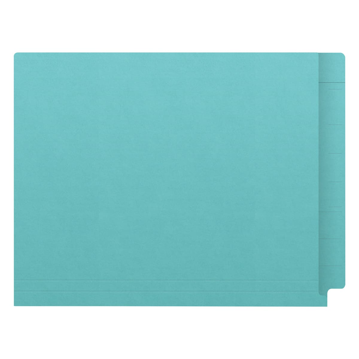 Light blue Kardex match letter size reinforced top and end tab folder with tic marks printed on end tab. 11 pt light blue stock. Packaged 100/500