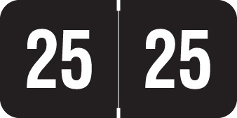 Smead Compatible 2025 Yearband Label - ETYJ Series -500/Roll - Black/White - 3/4" H X 1-1/2" W