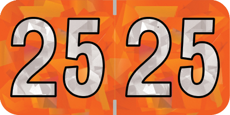 2025 Orange Year Labels - ORANGE Inch, 500 Labels