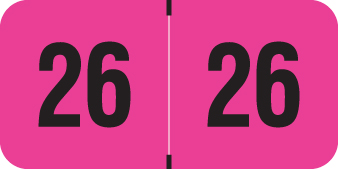 2026 Pink Year Labels - PINK Inch, 500 Labels