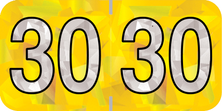HOLOGRAPHIC 2030 YELLOW Year Label 3/4"H X 1-1/2"W END TAB 500/ROLL