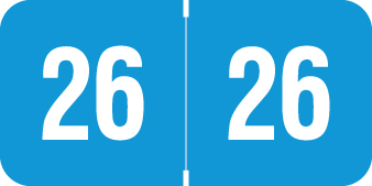 2026 Blue Year Labels - RINGBOOK Inch, Varied Labels