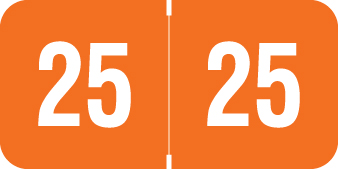 2025 Orange Year Labels - .75 Inch, 500 Labels