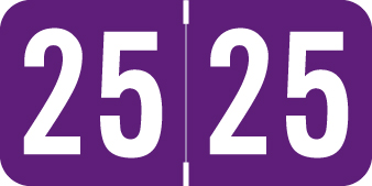 2025 Purple Year Labels - 3/4 Inch, 500 Labels