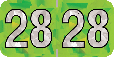 2028 Lime Year Labels - 3/4" Inch, 500 Labels