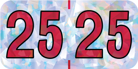 HOLOGRAPHIC 2029 SILVER Year Label 3/4"H X 1-1/2"W END TAB 500/ROLL