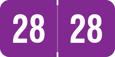 2028 Purple Year Labels - RINGBOOK Inch, Varied Labels