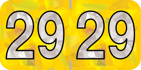 HOLOGRAPHIC 2029 YELLOW Year Label 3/4"H X 1-1/2"W END TAB 500/ROLL