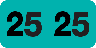 2025 Teal Year Labels - 3/4" Inch, 500 Labels