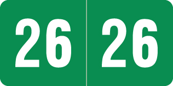 2026 Green Year Labels - 1/2" Inch, Varied Labels