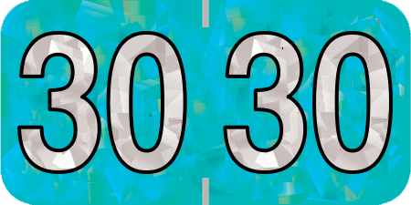 HOLOGRAPHIC 2030 AQUA Year Label 3/4"H X 1-1/2"W END TAB 500/ROLL