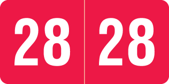 2028 Red Year Labels - 1/2" Inch, Varied Labels